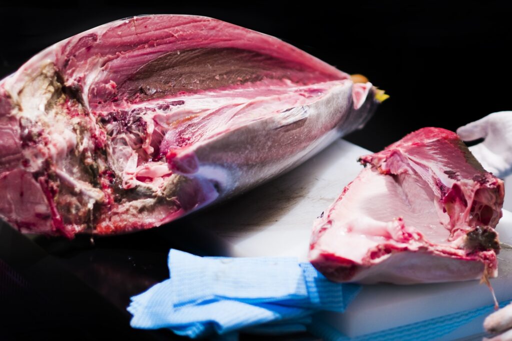 魚には赤身と白身があります なぜ 赤身 白身 の違いが起こるのでしょうか Syuchan13